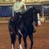 My 4-H Experience